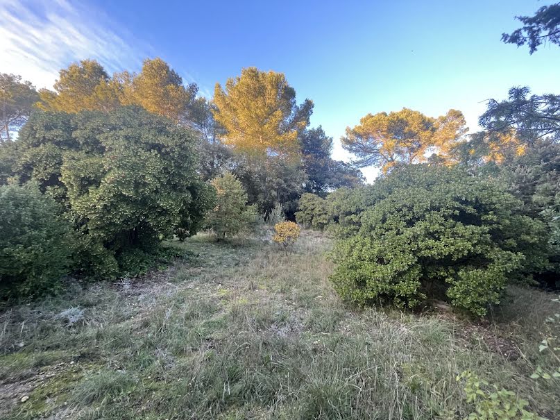 Vente terrain  800 m² à Caveirac (30820), 225 000 €