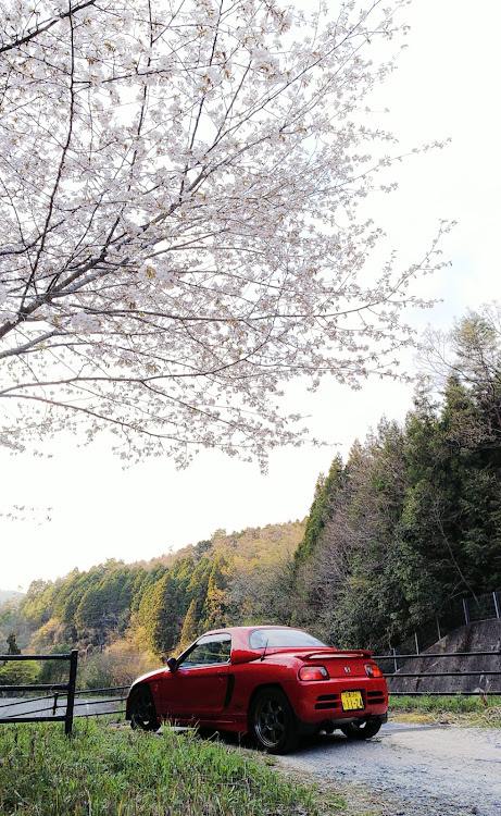 ビートのさくら🌸・ドライブに関するカスタム事例の投稿画像4枚目