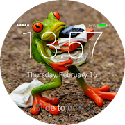 Frog Lock Screen  Icon