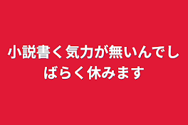 小説書く気力が無いんでしばらく休みます