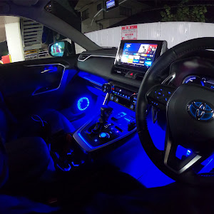 RAV4 AXAH54