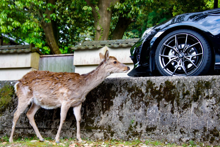 の投稿画像1枚目