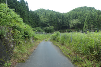 獣避け柵の間を進む