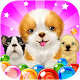 Download Dog Bubble For PC Windows and Mac 1.0.0