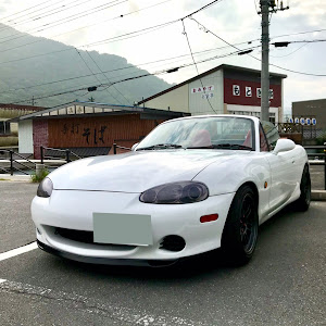 ロードスター NB6C