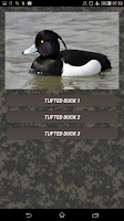 Duck hunting calls Screenshot