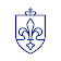 Saint Louis University icon