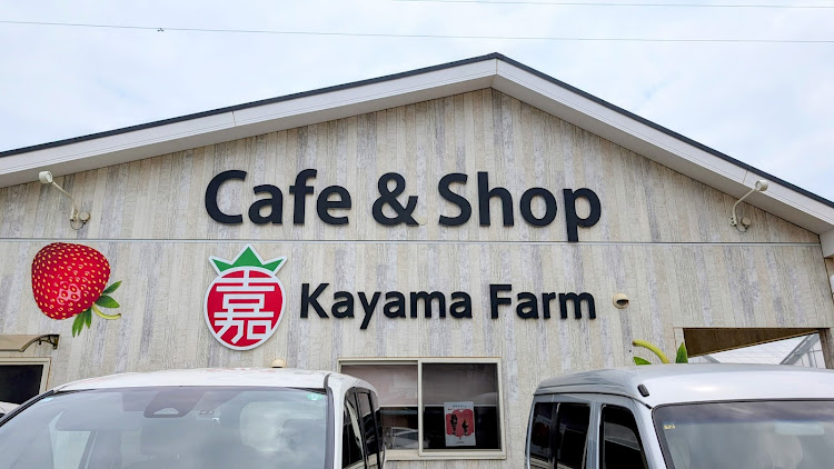バモスホビオのリバイバルカフェ臨時休業・嘉山農園・いちごパフェ・ランチタイム・メインディッシュに関するカスタム事例の投稿画像2枚目