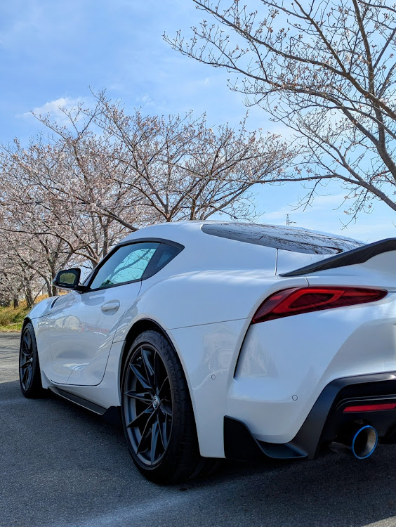 スープラのサクラと愛車・桜・春・桜コラボに関するカスタム事例の投稿画像2枚目