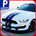 Backyard Parking Mania 3D 1.0