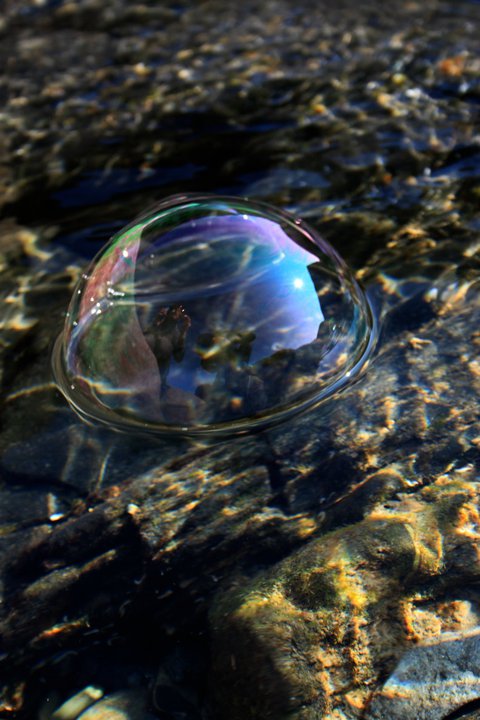 Riflessi in una bolla d'acqua di Emily click