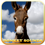 Cover Image of ダウンロード Donkey Sounds 1.1 APK