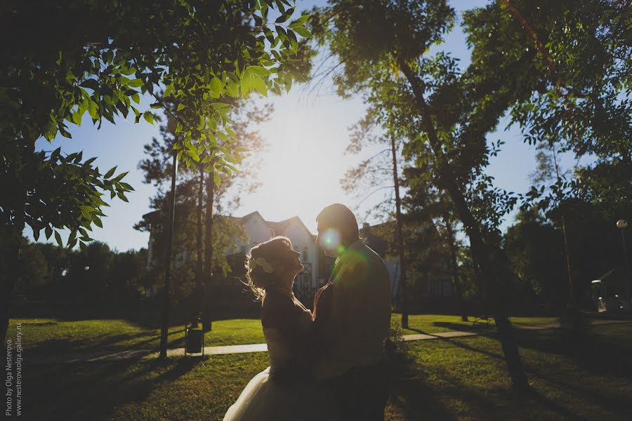 Fotografo di matrimoni Olga Nesterova (neste). Foto del 25 dicembre 2014