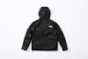 supreme the north face leather mountain parka black