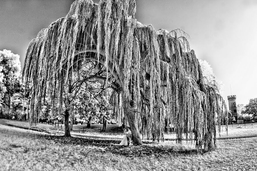 Fotografo di matrimoni Paolo Giovannini (annabellafoto). Foto del 24 febbraio 2015