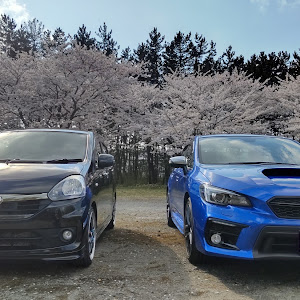 ミライース LA300S