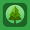 Item logo image for Focus Forest