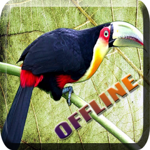 How to get CANTO DO TUCANO TOCO (ÁUDIO) 1.1 unlimited apk for laptop