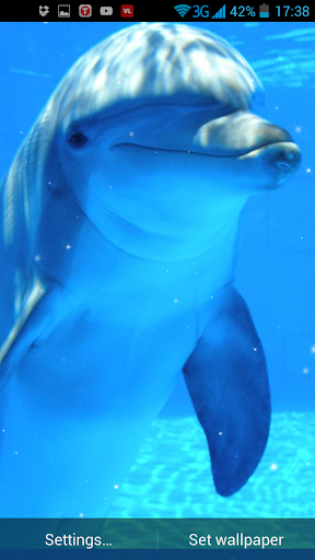 Ocean Dolphins Live Wallpaper