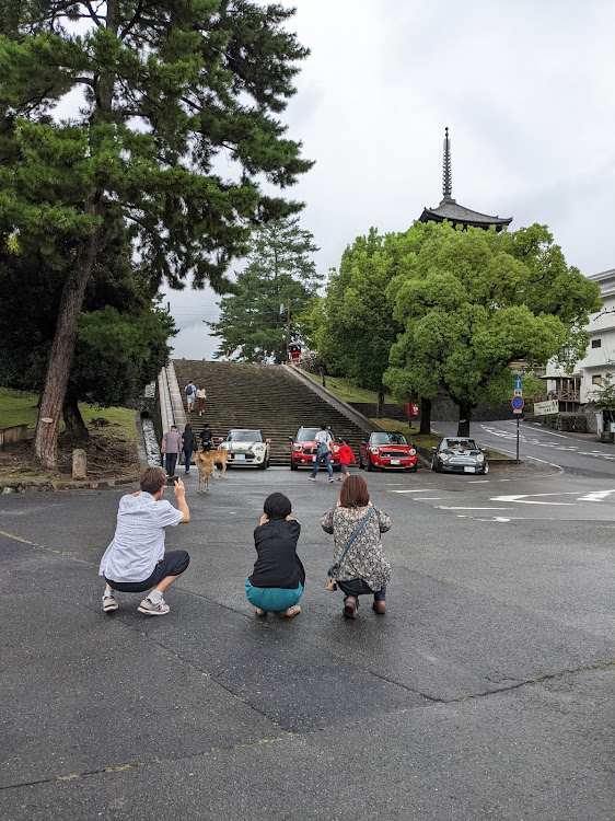 の投稿画像6枚目