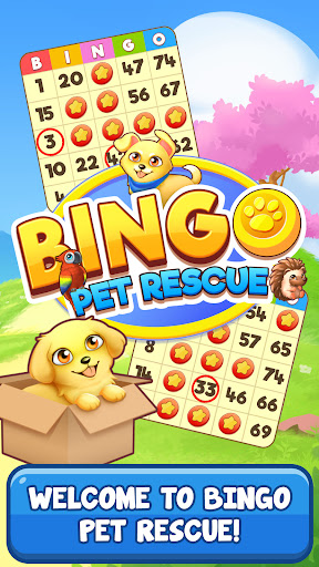 Bingo Pet Rescue