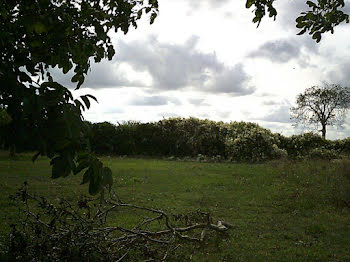 terrain à Saint-Martin-la-Pallu (86)