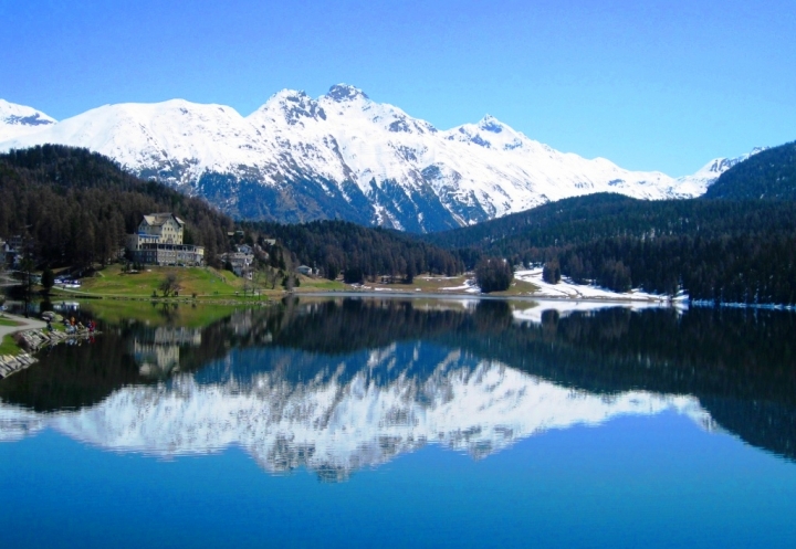 Il Bernina vanitoso di stefano.borsa