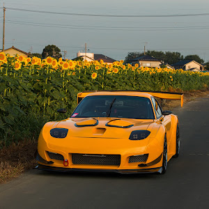 RX-7 FD3S 後期