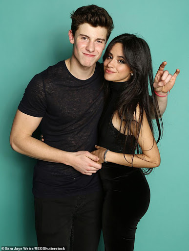 camilla cabello and shawn mendes