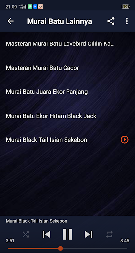 Suara Murai Batu Full Isian MP3 Offline