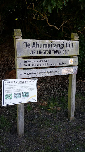 Te Ahumairangi Hill