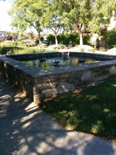 Frog Fountain