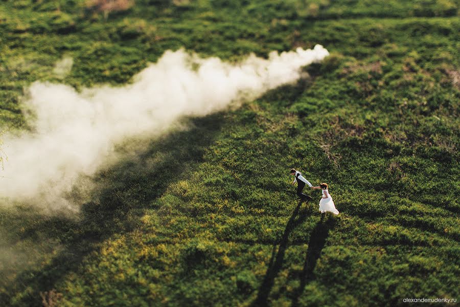 Fotograful de nuntă Aleksandr Rudenkiy (rudenky). Fotografia din 18 ianuarie 2015