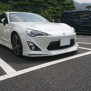 86 ZN6