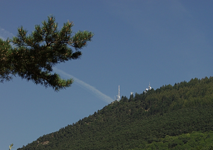 Nuovi alberi di KDreamer