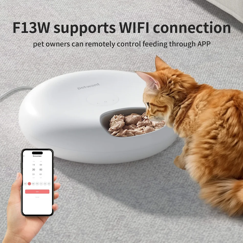 Petwant Wifi Smart Cat Food Dispenser 6 Meals Tuya APP Remote Feeding Anti-jamming Timed Automatic Pet Feeder