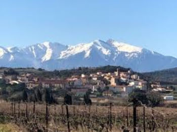 terrain à Montner (66)