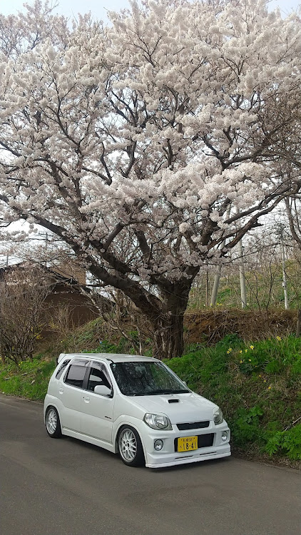 の投稿画像2枚目