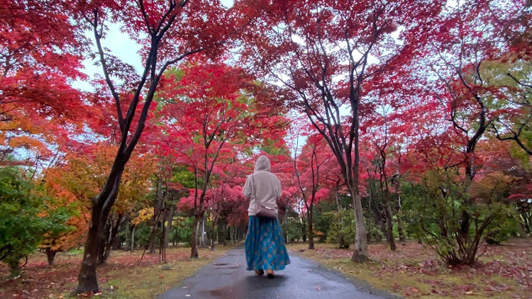 の投稿画像22枚目