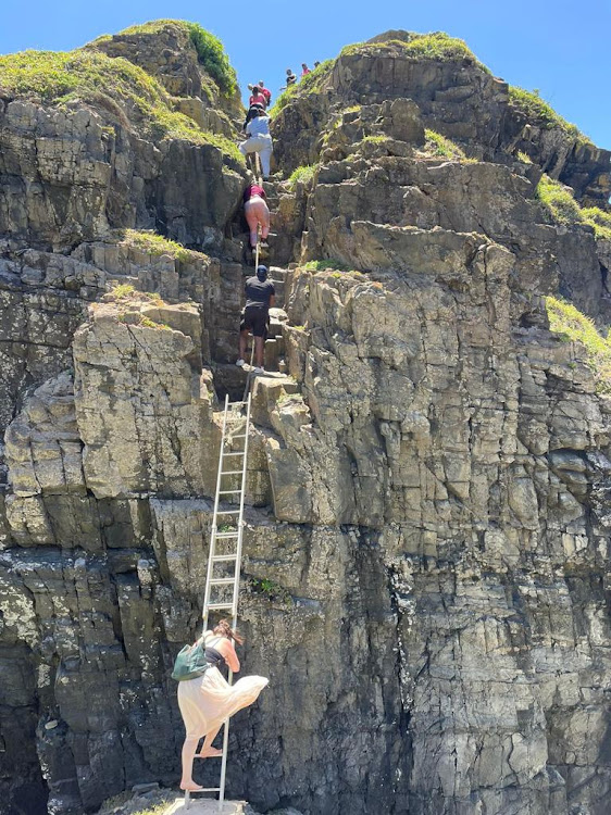 Descending the ladder en route to the Port St Johns blow hole.