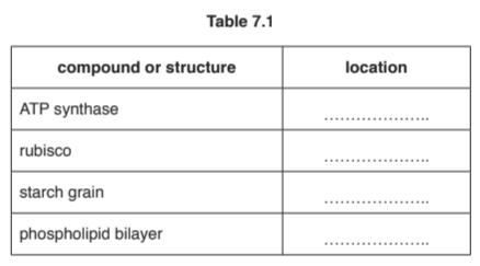 Structure and function of chloroplasts