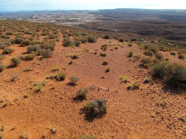 Old wagon road