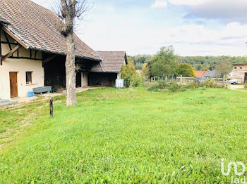 maison à Hindlingen (68)