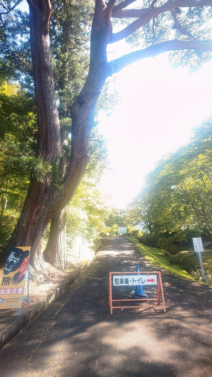 プリウスの観音沼森林公園に関するカスタム事例の投稿画像2枚目