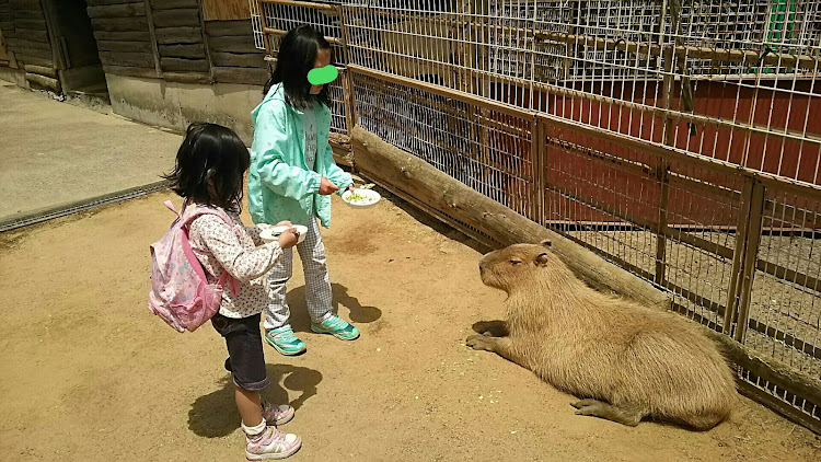 の投稿画像16枚目