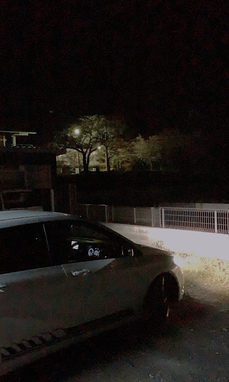 BクラスのW246(前期)・お気に入り角度・夜桜・満開｡｡｡に関するカスタム事例の投稿画像1枚目