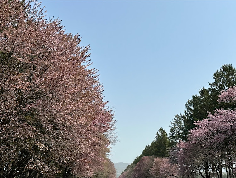 の投稿画像9枚目