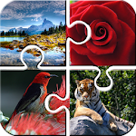 Cover Image of Télécharger Puzzles pour adultes 0.0.9 APK