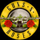 Guns N' Roses HD Tab