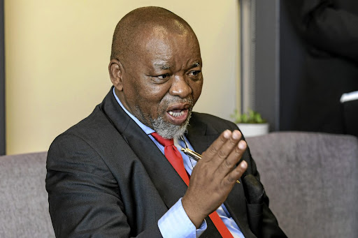 Gwede Mantashe. Picture: JEFFREY ABRAHAMS/GALLO IMAGES